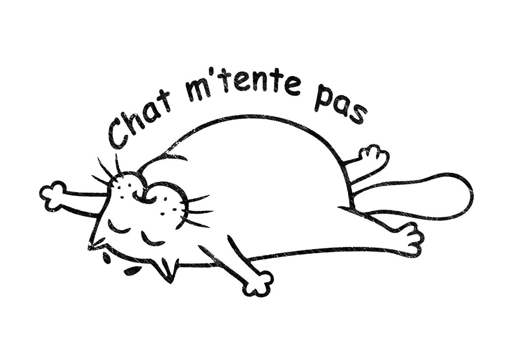 Chat m'tente pas - T-Shirt