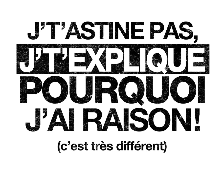 J'tastine pas, j't'explique pourquoi j'ai raison! - T-Shirt